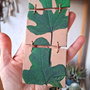 Fig leaves