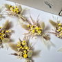 Flori de pus în piept Invitați Nuntă , Cocarde mic - flori naturale uscate și stabilizate , Galben lămâie - Bej