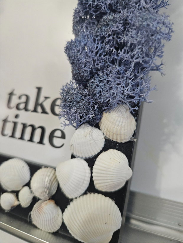 Ramă foto decorativă 10x15 cm cu licheni stabilizați și scoici naturale Ocean Breeze