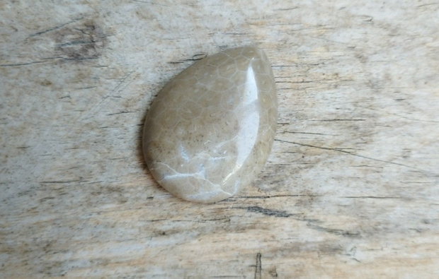 Cabochon jasp, 40x30 mm