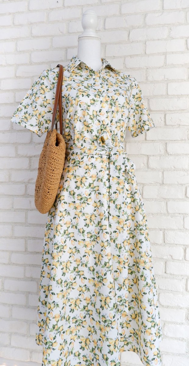 Rochie Camasa cu Maneca Scurta Lamai Mici