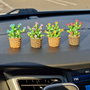 Cactus pentru mașină