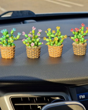Cactus pentru mașină