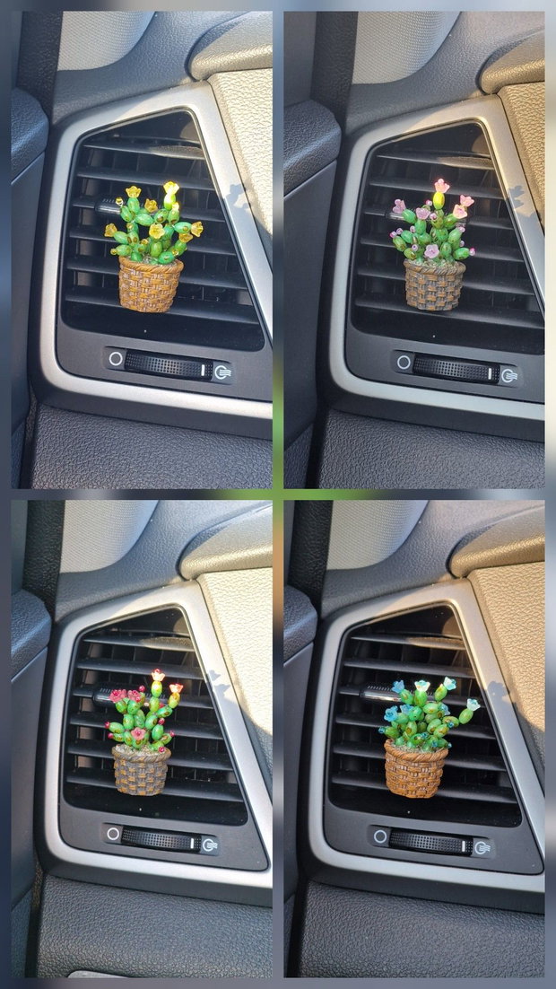 Cactus pentru mașină