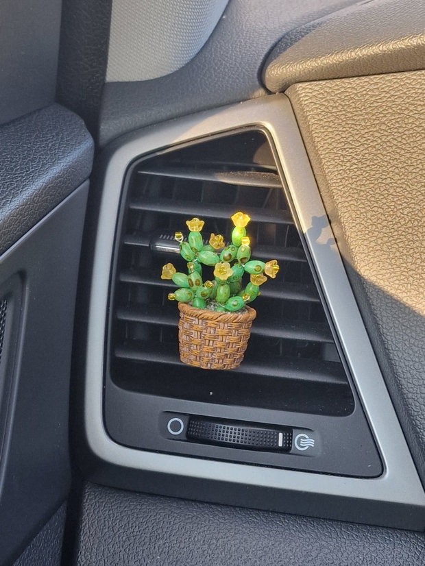 Cactus pentru mașină