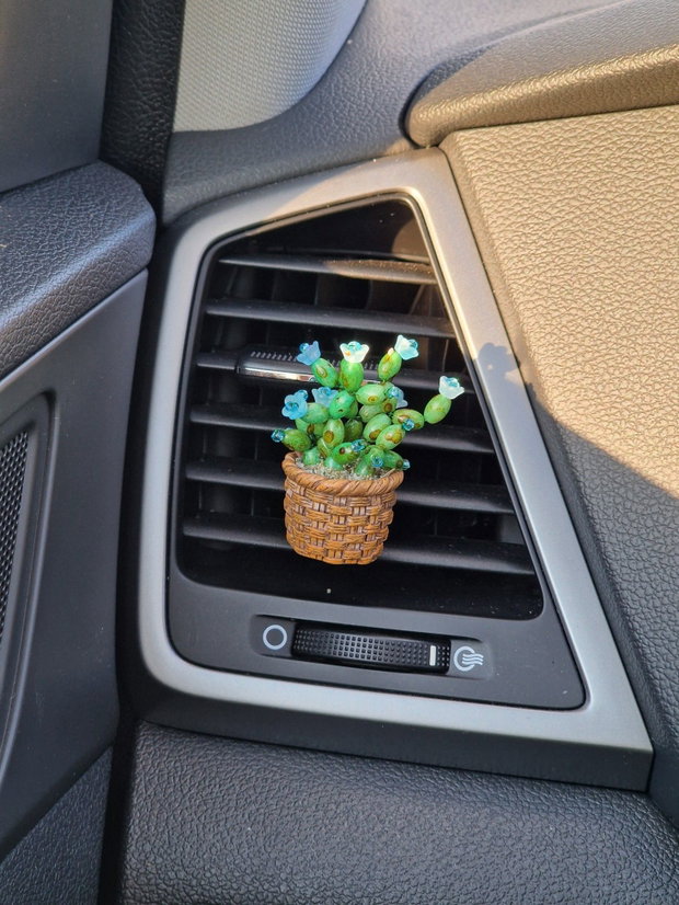 Cactus pentru mașină