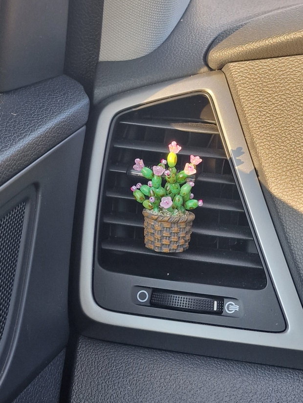Cactus pentru mașină