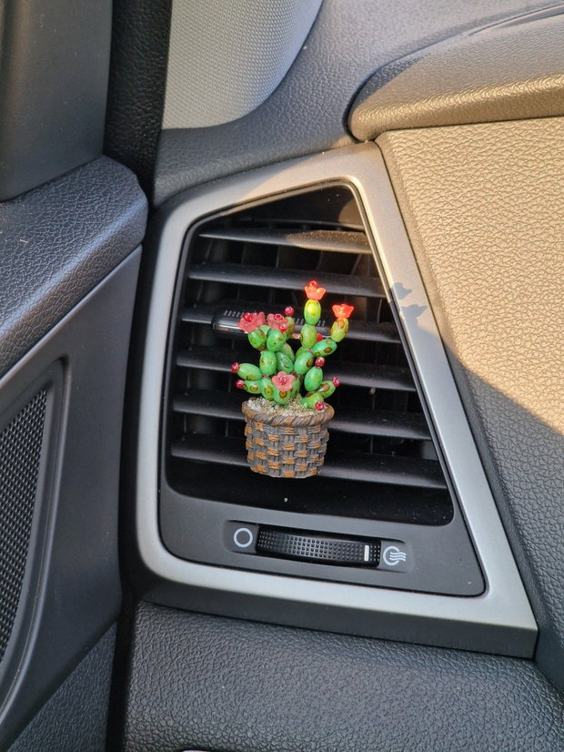 Cactus pentru mașină