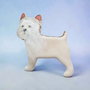 Catel portelan bichon brosa