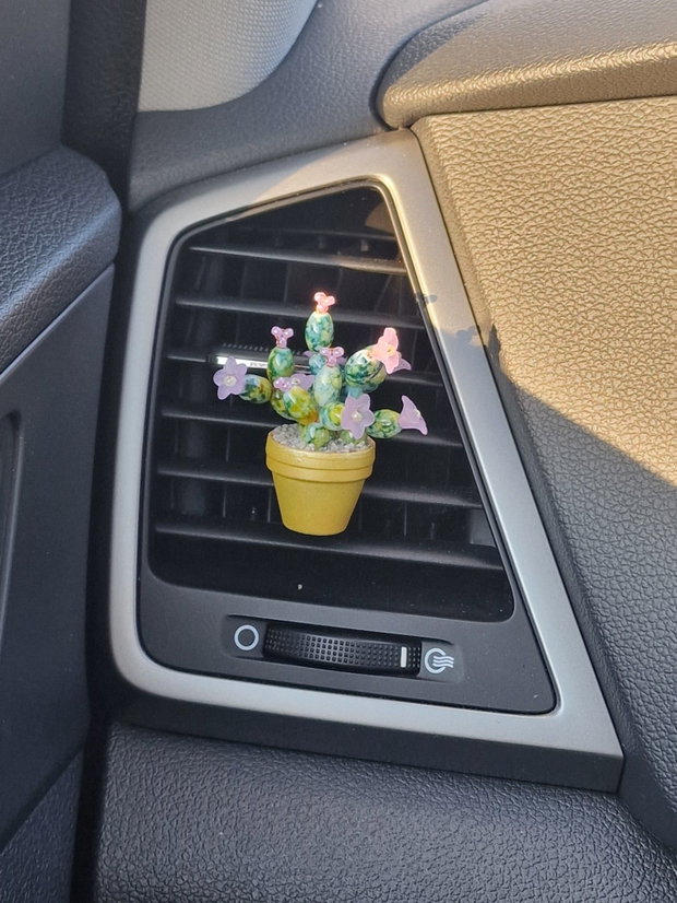 Cactus pentru mașină