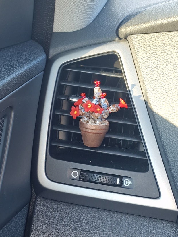 Cactus pentru mașină