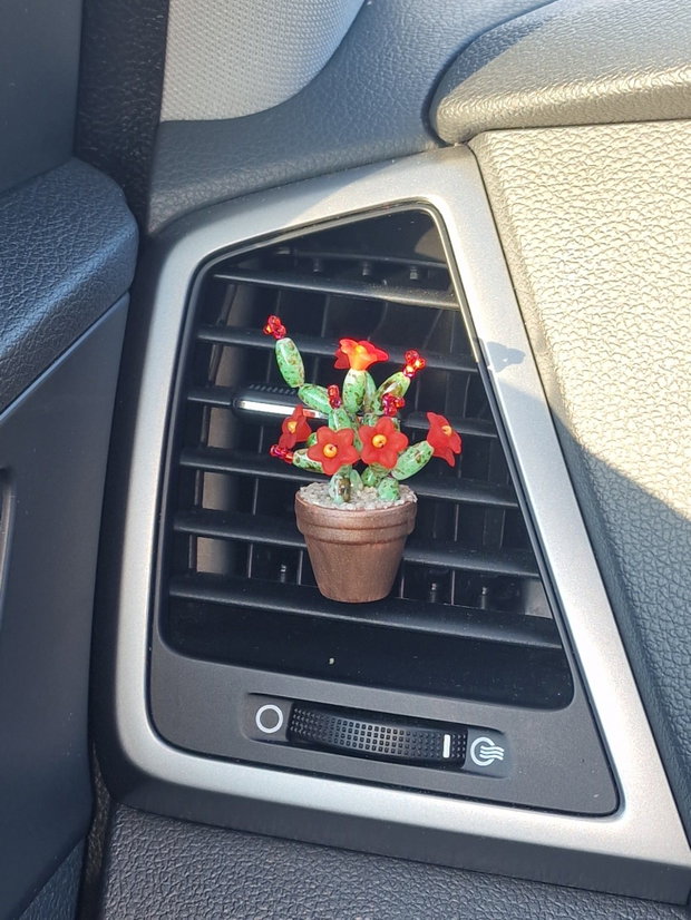 Cactus pentru mașină