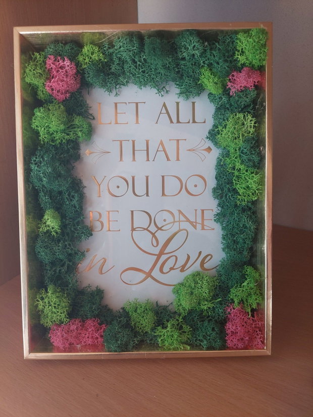 Decoratiuni cu lichieni