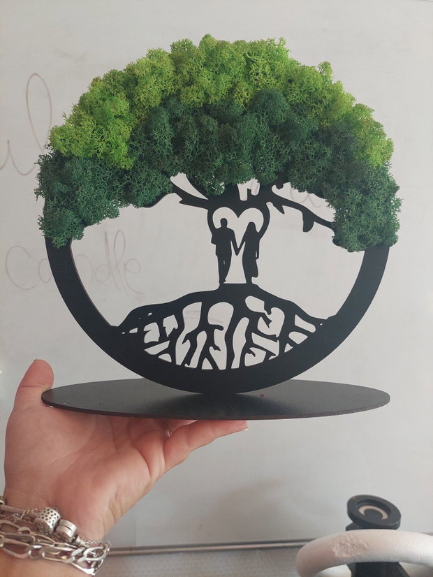 Decoratiuni cu lichieni