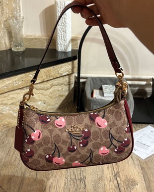 Geanta coach