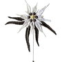 Brosa Pin Floare de Colt Brodata