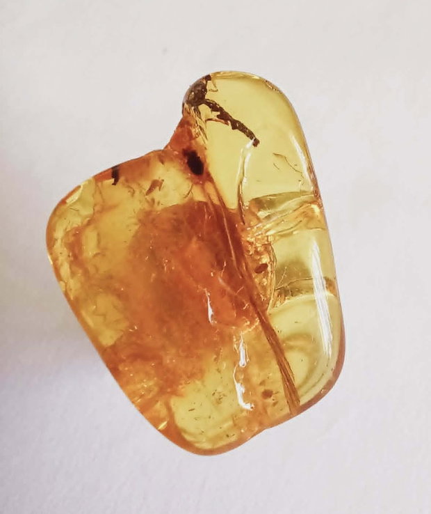 Chihlimbar natural Rusia