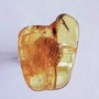 Chihlimbar natural Rusia