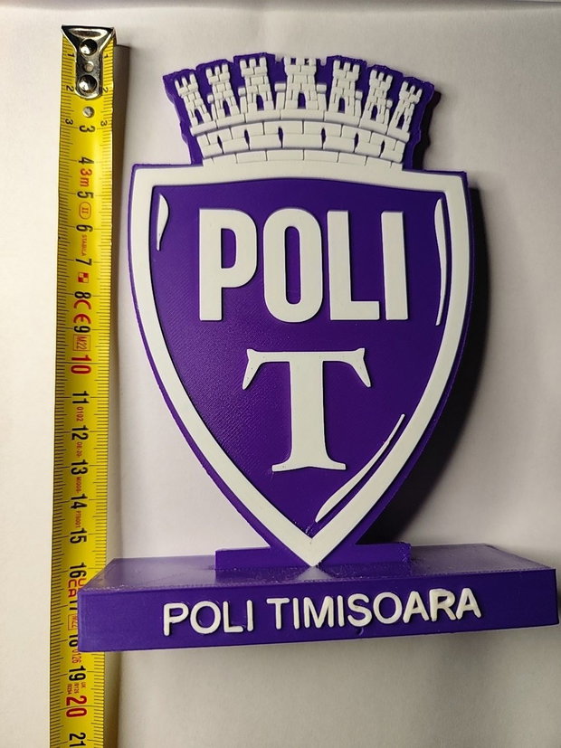 Decorațiune 3D Poli Timișoara