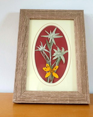 Tablou flori de colț presate