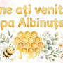 Kit Decor Grupa/Clasa ALBINUTELOR