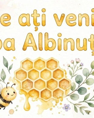 Kit Decor Grupa/Clasa ALBINUTELOR
