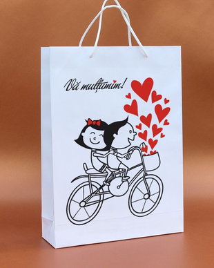 Pungi marturii bicicleta
