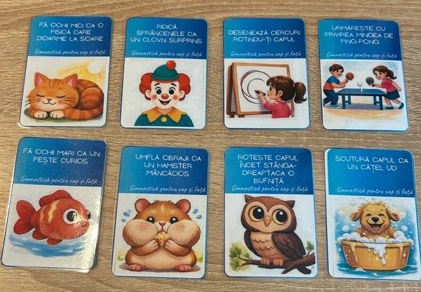 Set 48 cartonase laminate de logopedie