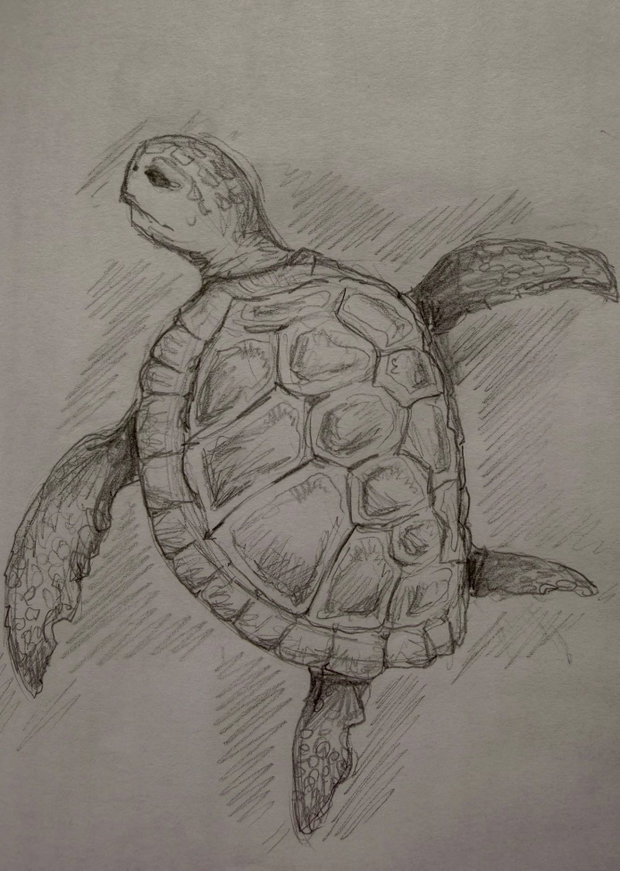 Realizez desene și ilustrații la comandă în creion A5 Cadouri unice