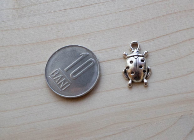 Charm buburuză