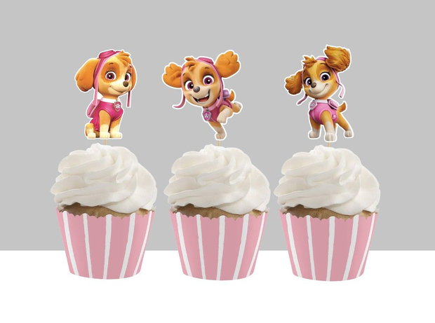 Toppere Paw patrol- Skye