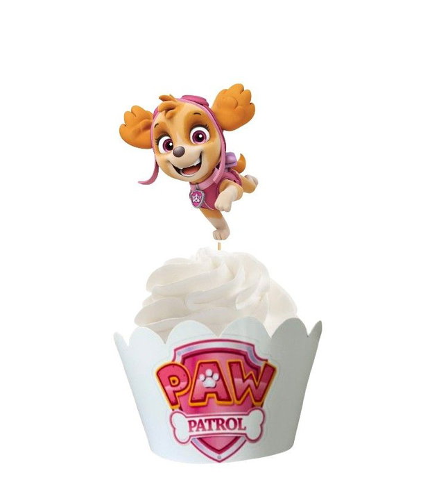 Toppere Paw patrol- Skye
