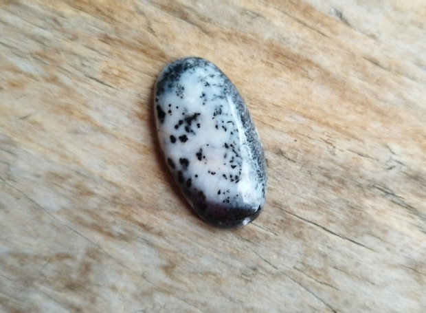 Cabochon opal dendritic, 27x15x4.8 mm
