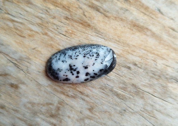 Cabochon opal dendritic, 27x15x4.8 mm