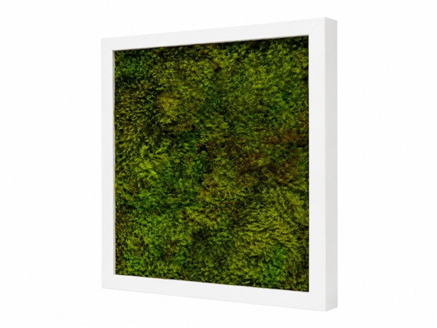 Tablou patrat cu muschi stabilizat Verde Forest 30x30 cm