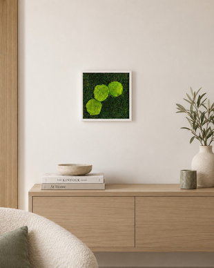 Tablou cu muschi stabilizat si muschi bombat Verde Contrast 30x30 cm