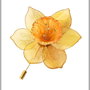Broșă narcisă handmade cu petale translucide și reflexe aurii, floare statement elegantă