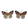 Cercei Brodati Fluture Exotic
