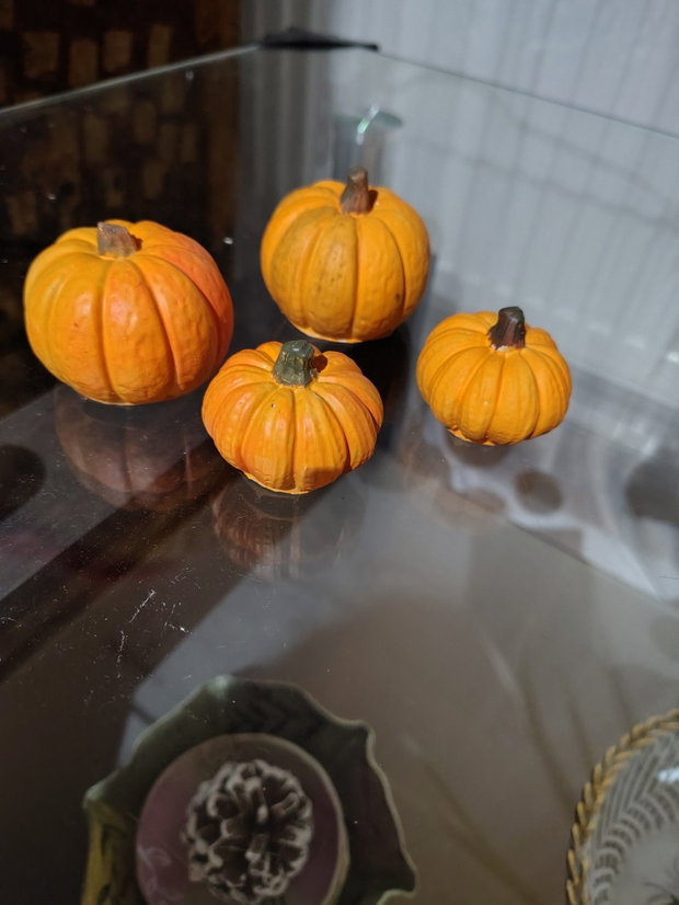 Dovlecei decorativi