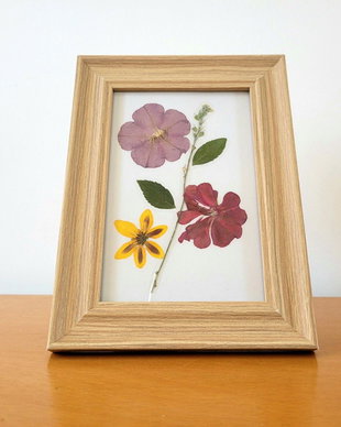 Tablou flori presate natural