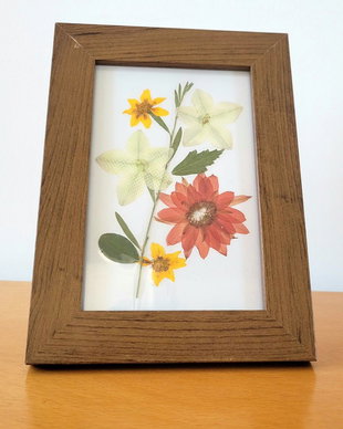 Tablou flori presate natural