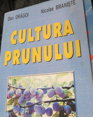 1999  carte Cultura prunului