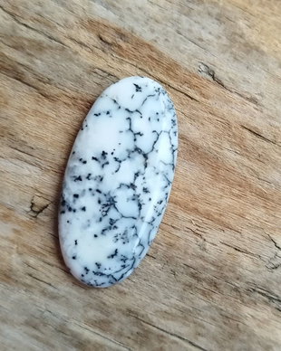 Cabochon opal dendritic, 25x13x3 mm