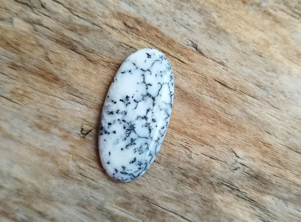 Cabochon opal dendritic, 25x13x3 mm