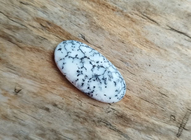 Cabochon opal dendritic, 25x13x3 mm