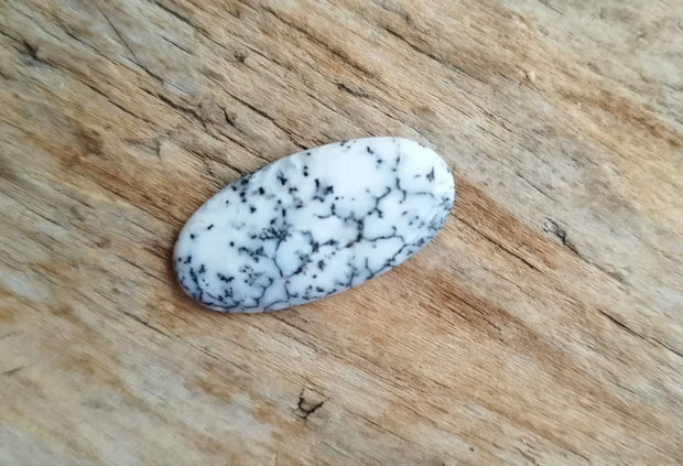 Cabochon opal dendritic, 25x13x3 mm