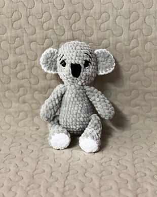 Urs koala