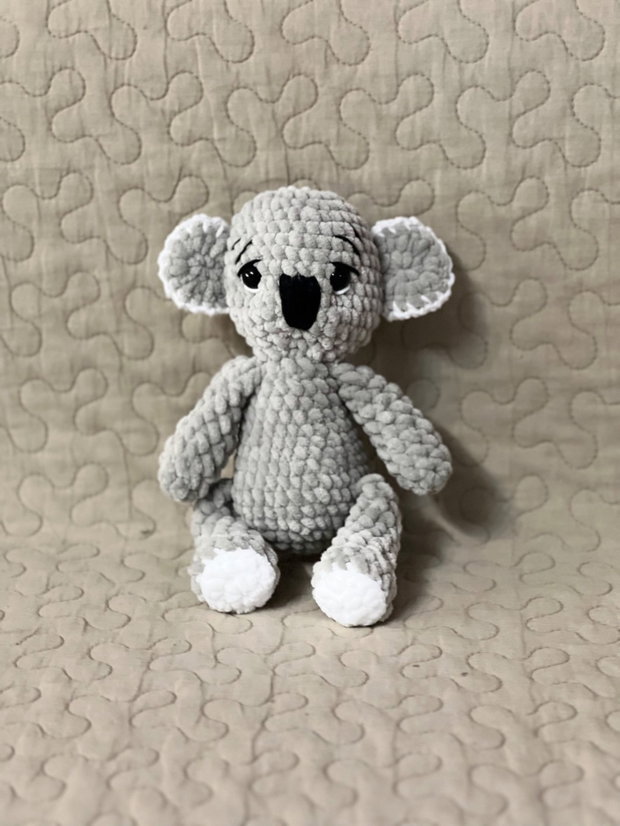 Urs koala