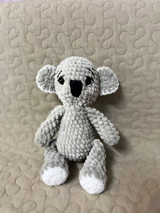 Urs koala