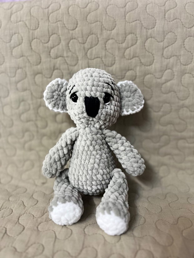 Urs koala